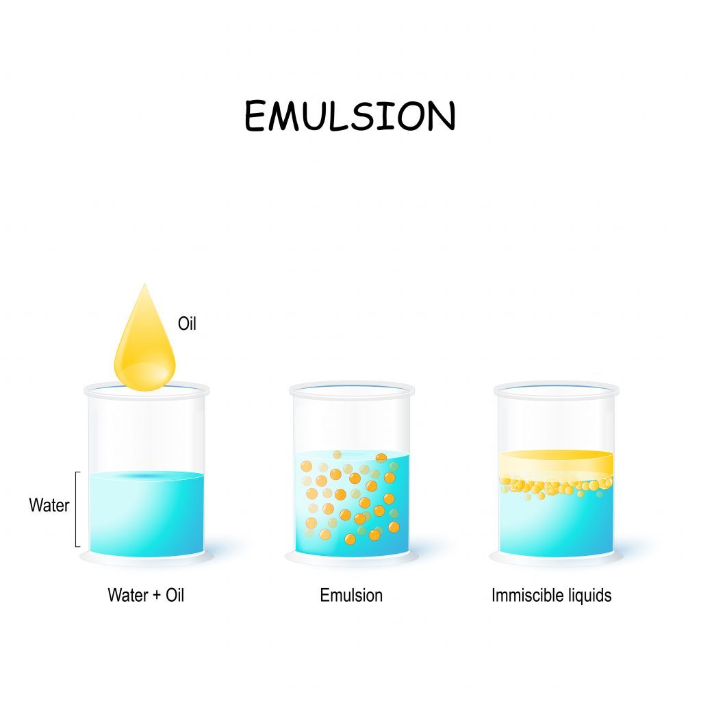 Emulsifiers for the baking industry MEGGLE Business Unit Food Ingredients