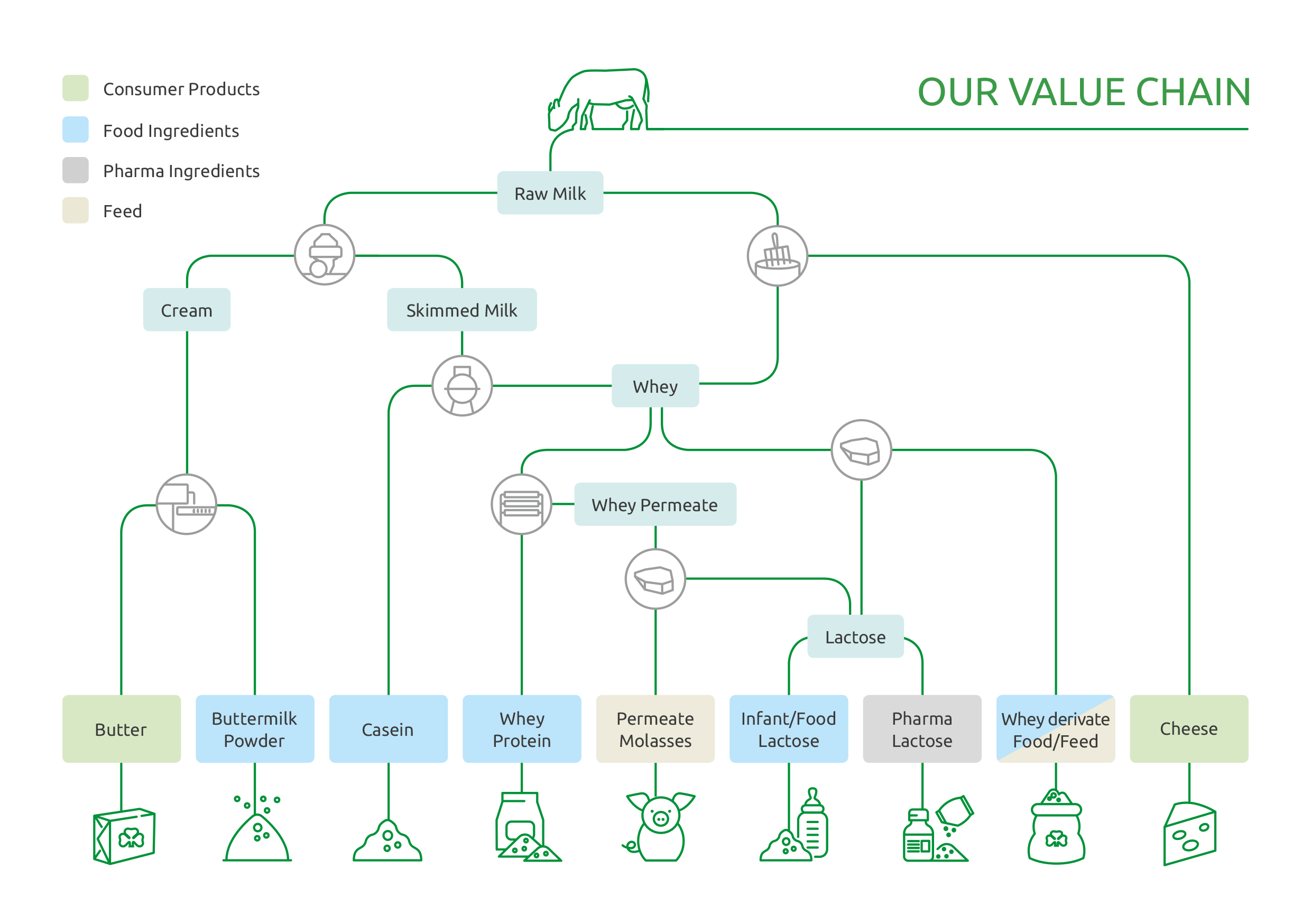 MEGGLE Value Chain