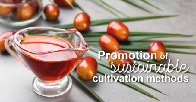 RSPO Newsartikel Förderung nachhaltiger Anbaumethoden von Palmöl